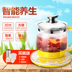 XGP西瓜皮养生壶全自动加厚玻璃分体式大容量煮茶壶营养煎药壶黑茶器