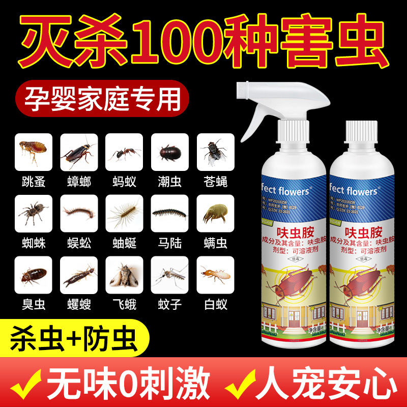 室内臭虫灭杀